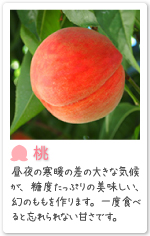 紹介桃
