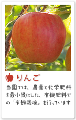 紹介りんご